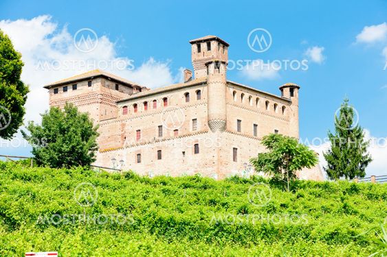 Grinzane Cavour Castle with vineyard, Piedmont, Italy