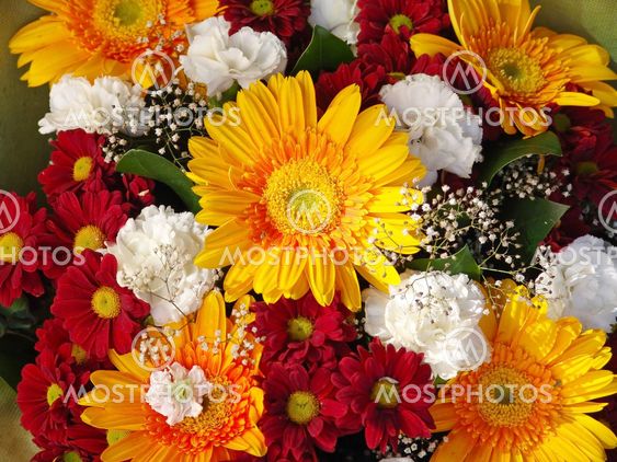 flowers