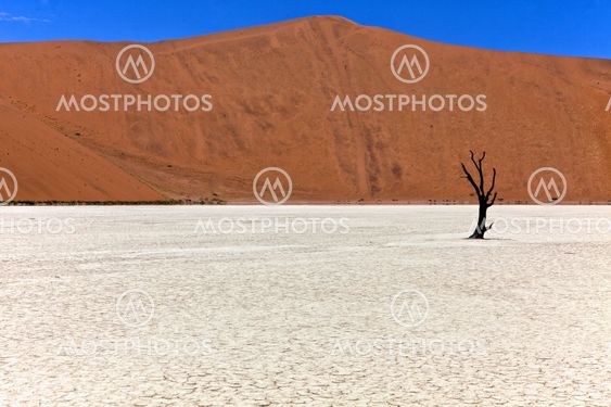 a panoramic of deadvlei in the namib naukluft national park namibia africa