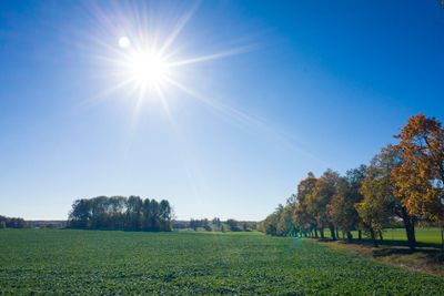 Beautiful autumn day in Sweden Scandinavia. 