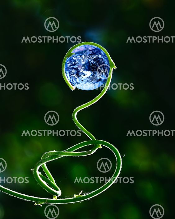 Green stalk and Earth