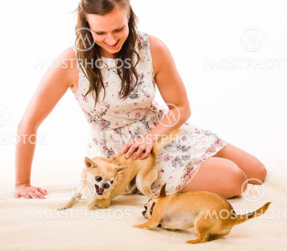 Woman and dogs