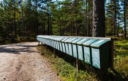 Green mailboxes aligned along a rural pathway in Sweden...