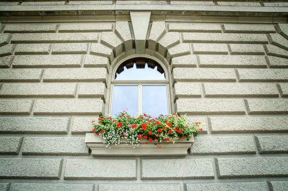 Window on the Bundeshaus
