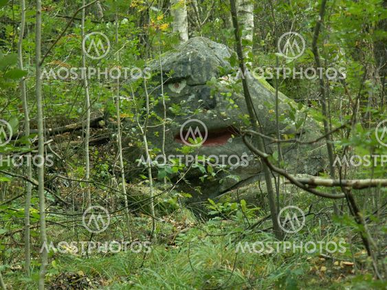 forest troll