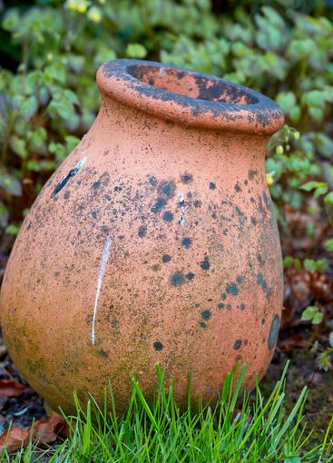 Garden, empty flower pot and outdoor leaves, eco...