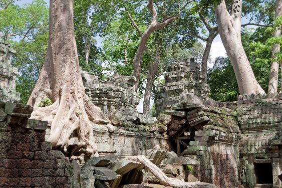 Ta Prohm in Angkor