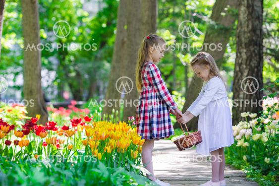 Little adorable girls walking in lush garden of tulips