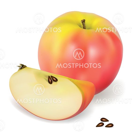 Apple Pink Lady
