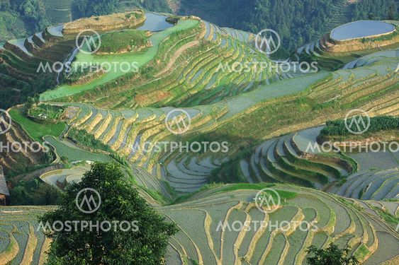 Yunnan terraces