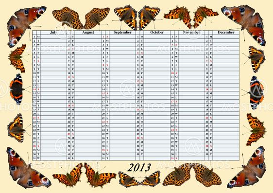 Calender 2013, July - December with Butterflies