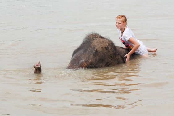Girl has bath with elephant