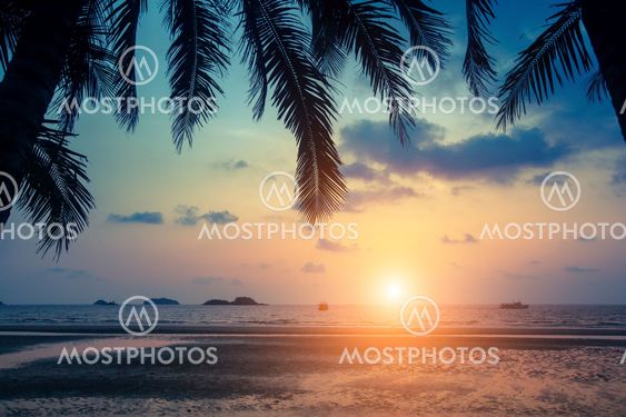 Tropical sea beach through palm leaves during amazing Sunset.