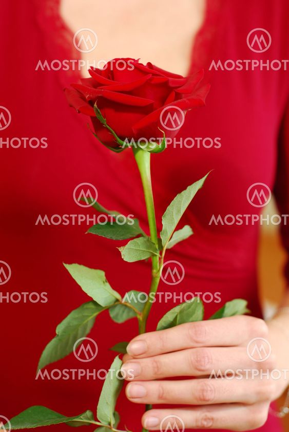 Kvinna rose