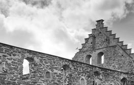 Visingsborgs slottsruin