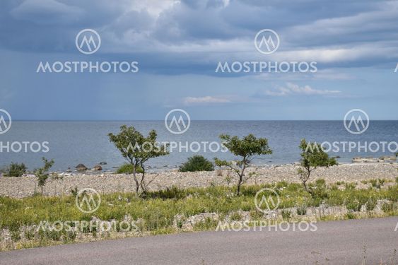 Vid stranden på norra Öland