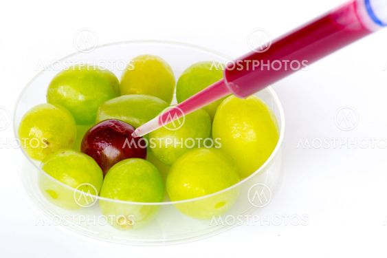 genetically modifing grapes
