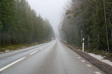 Morgondis vid väg genom skog i Närke