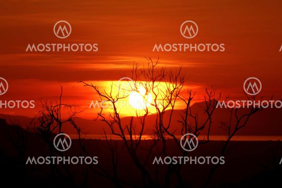 Beautiful sunrise on the sea and dead tree