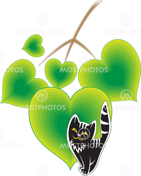 spring cat