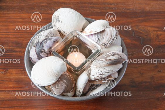 Candlelight and shell