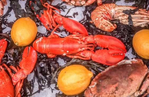 Lobster at the fish market