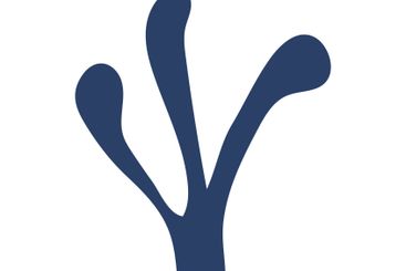 Abstract Navy Blue Branch with Curved Ends Emerging from...