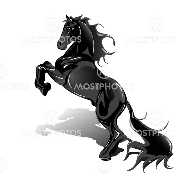 Black Horse