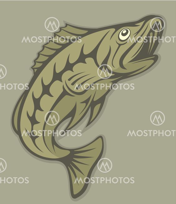Fish lineart