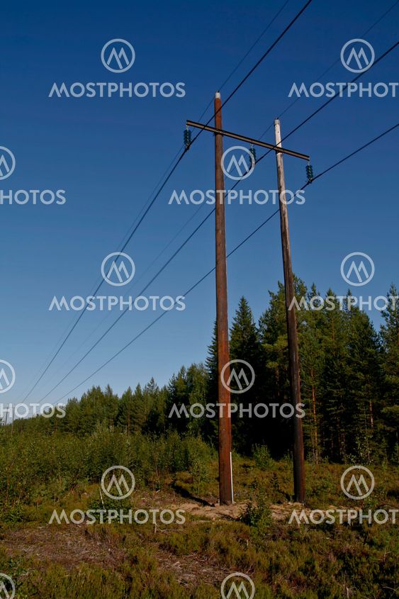 electric power lines