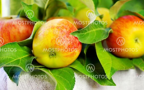 ripe red apples on table
