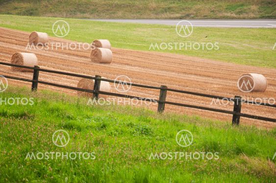 Bales of hay in a field in Switzerland