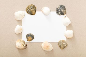 Unique arrangement of seashells framing a blank card on...