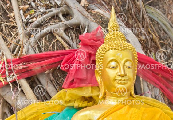 Golden Buddha close up