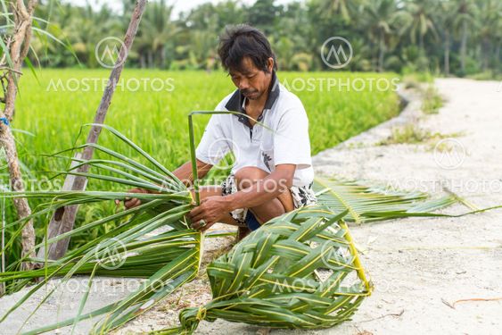 Unidentified villager sitting near the rice fields and weaving a basket out of palm leaves. Agriculture provides employment to more than 38% population in Indonesia.