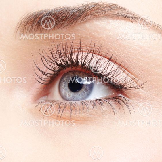Woman eye