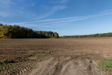 preparation of soil in the autumn season for spring sowing