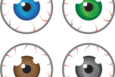 Eye ball colors vector illustration clip-art image