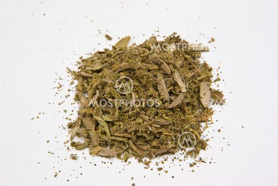 Salbei (Salvia)