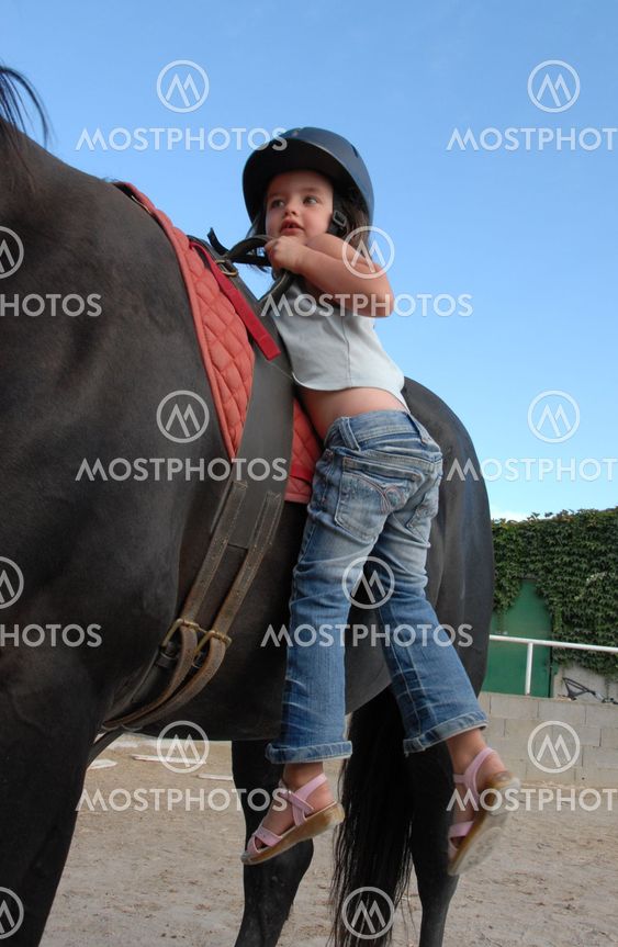 little girl and big horse