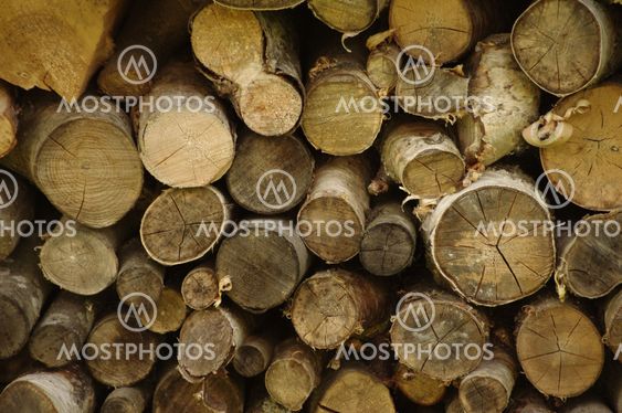 wood logs background