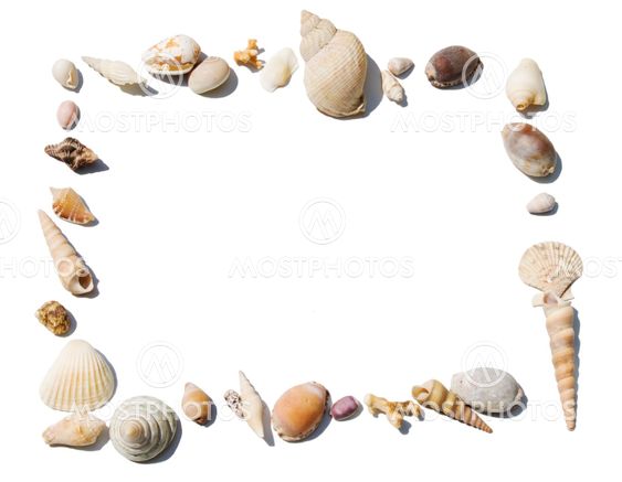 Empty frame with shells