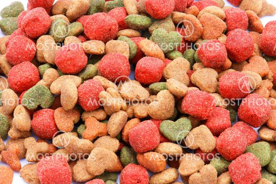 Dog food