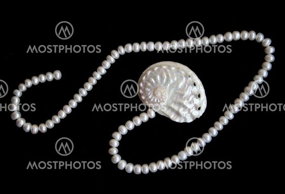 White pearls and nacreous cockleshell