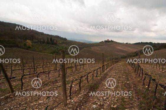 Chianti