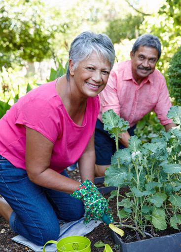 Senior, happy couple and planting with home garden for...