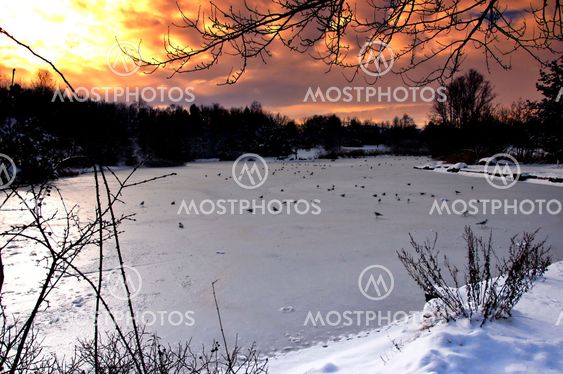 Pier with snow, lake view.