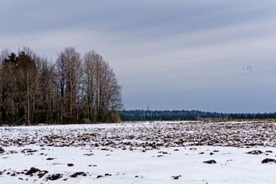 plowed field with melting snow in early spring