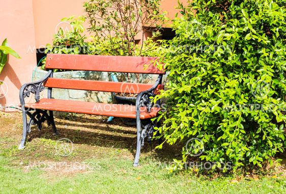 Wooden bench in garden.
