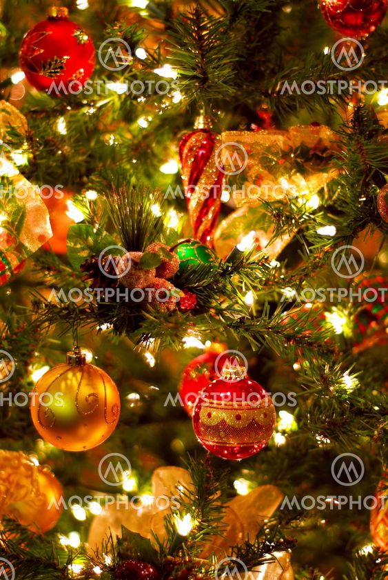Christmas tree background
